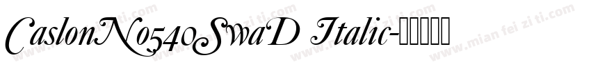 CaslonNo540SwaD Italic字体转换